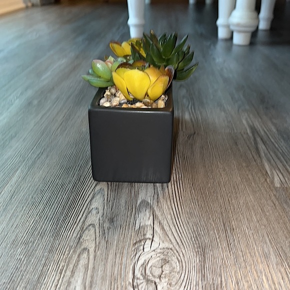 World Market Faux Succulent Arrangement In Ceramic Box-Like New - Picture 4 of 12
